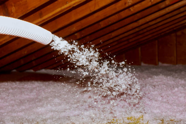 Best Types of Insulation in Three Lakes, FL