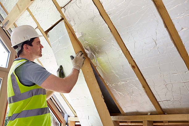 Best Commercial Insulation in Three Lakes, FL